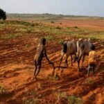 Affected by the Climate Crisis: Madagascar