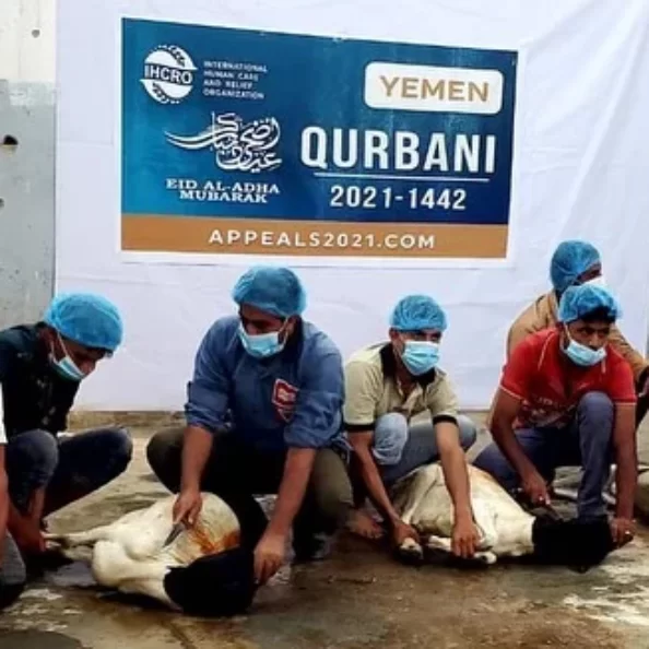 yemen qurbani